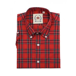CAMISA corte skinhead CK 55
