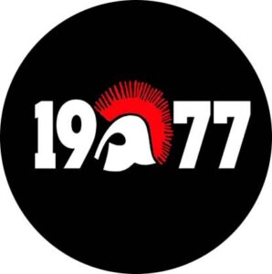 1977 punks chapa