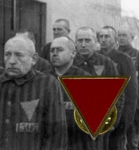 Triángulo antifascista pin