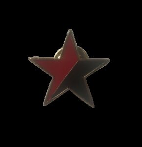 Estrella rojinegra pin