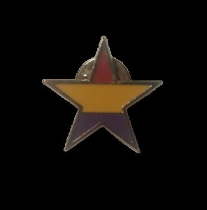 Estrella república pin