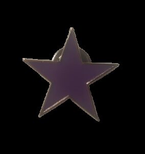 Estrella morada pin