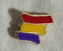 republica colores pin REBAJADO