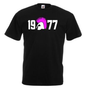 1977 punks and skins