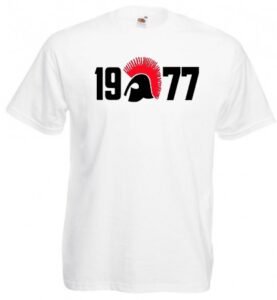 1977 punks and skins