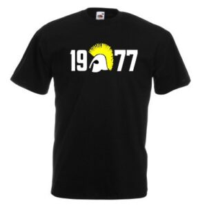 1977 punks and skins