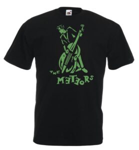 the meteors