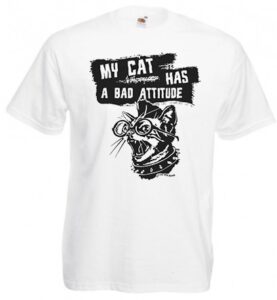 my cat