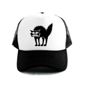 gato gorra