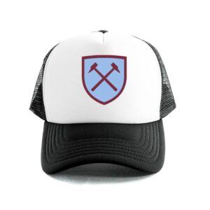Working class mod 16 gorra